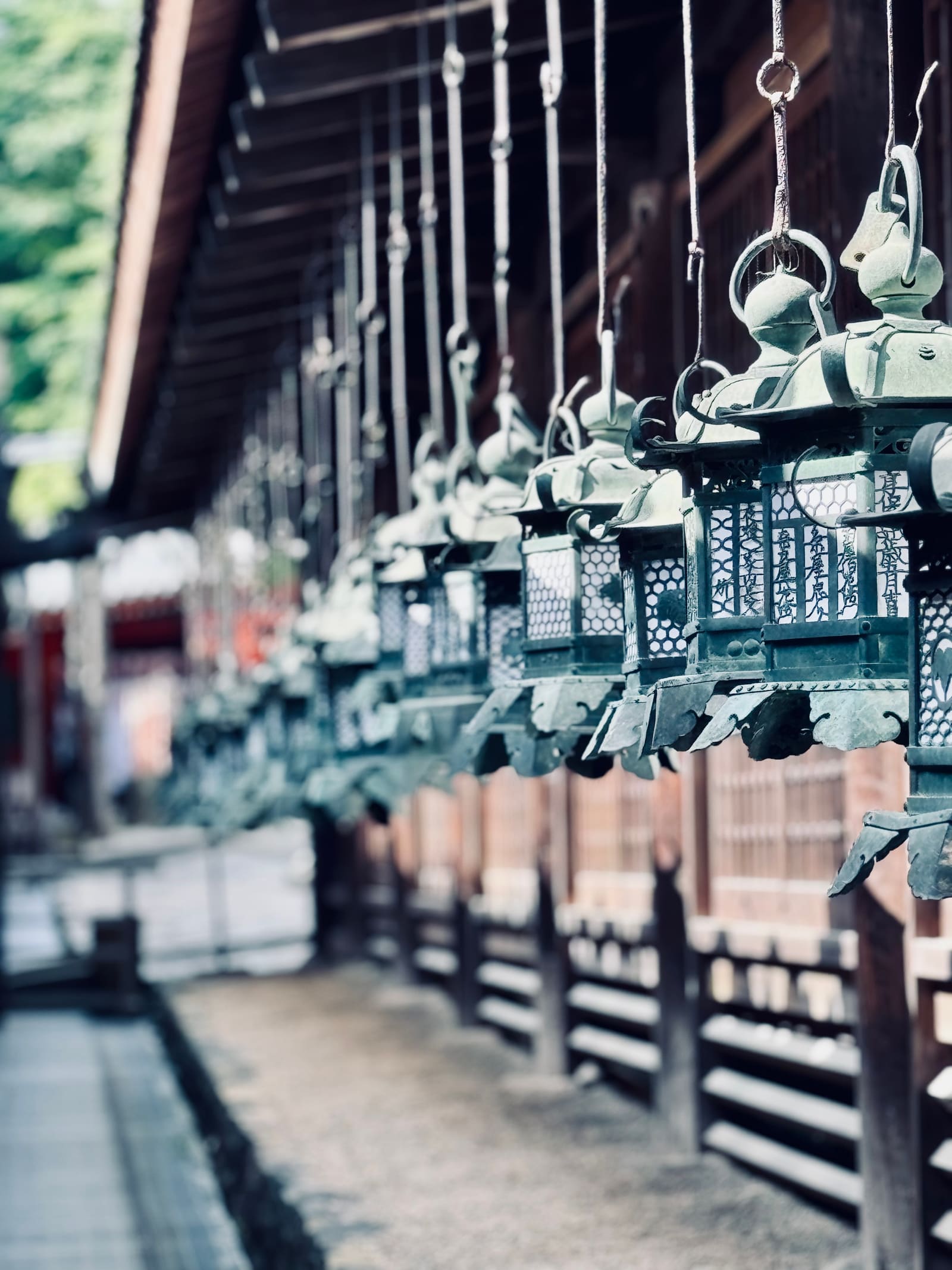 Kasuga Taisha