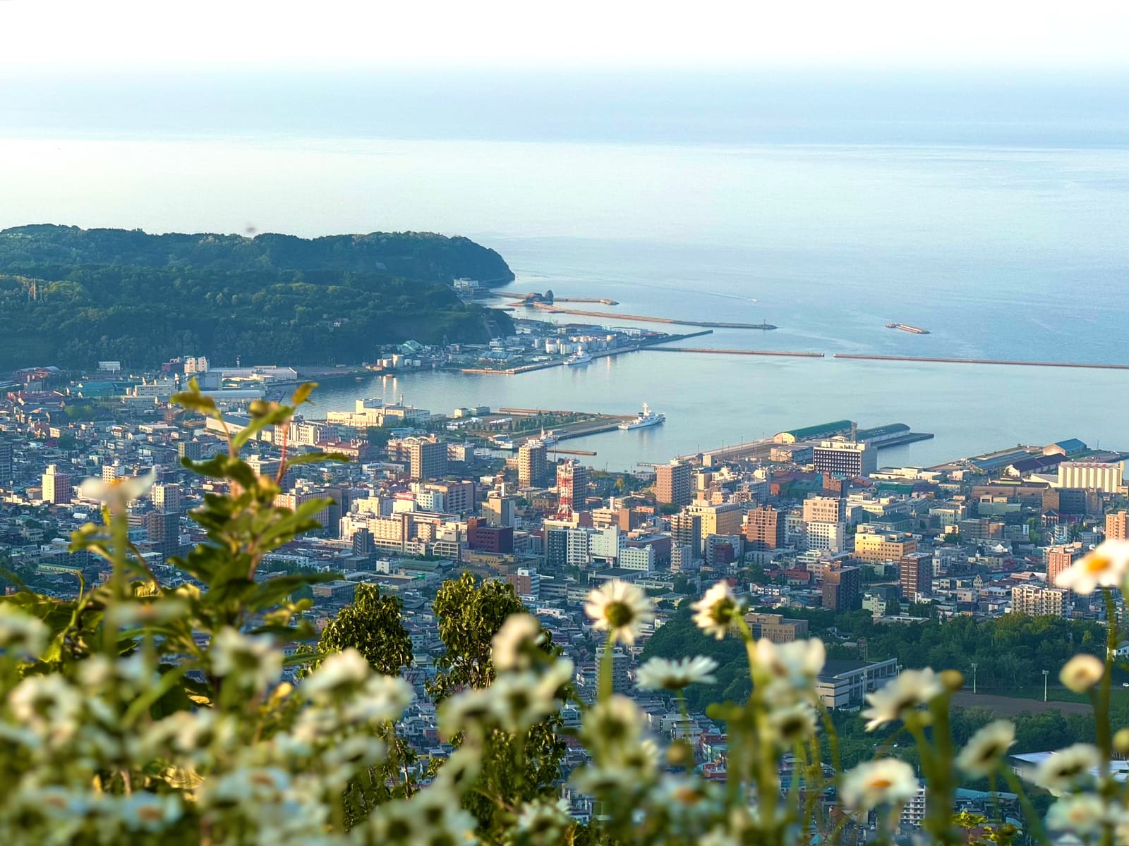 Homepage Image